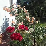 Guest house Ginavilla Keszthely