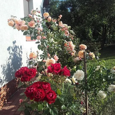 Guest house Ginavilla Keszthely