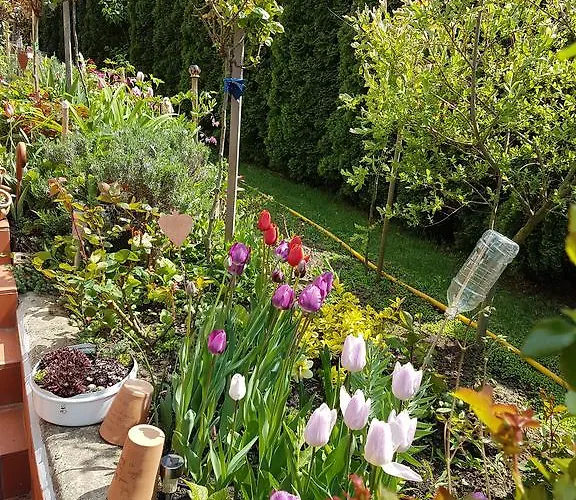 Ginavilla בית הארחה *