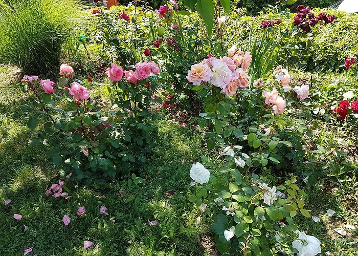 Ginavilla * קסזטלי